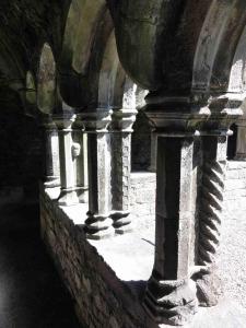 Sligo Abbey (2/3)